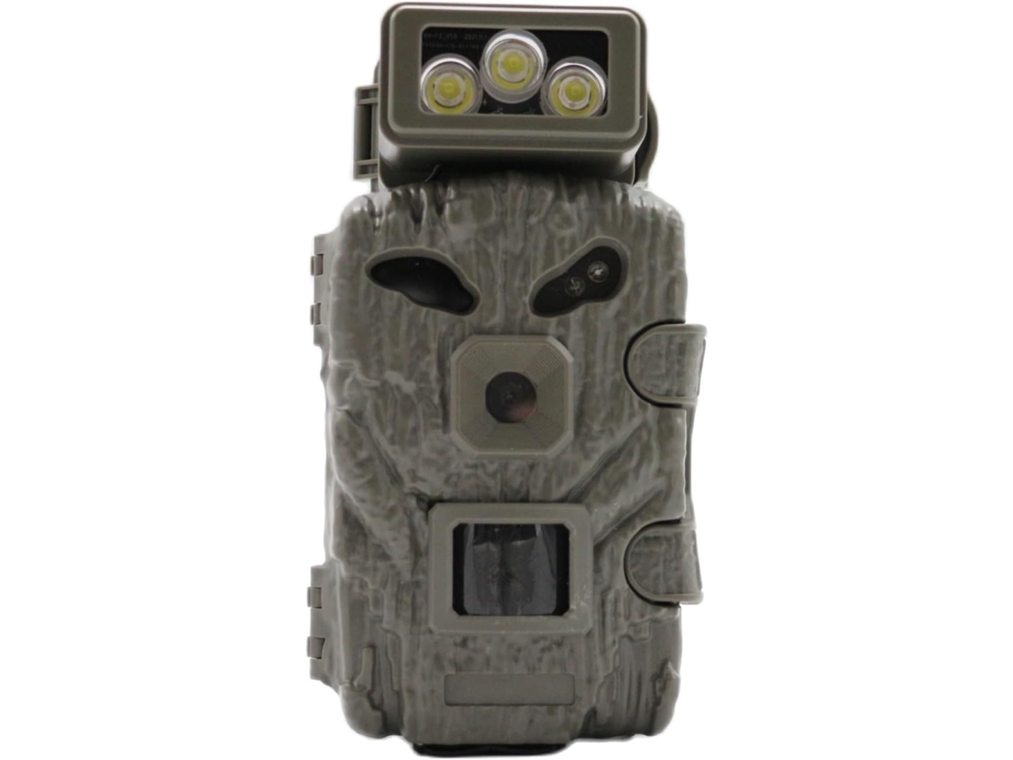 Cámara Faune Sauvage Sentier Couleur Led SFUSHOS