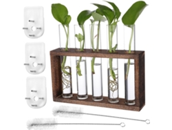 Soporte De Pared Para Propagación De Plantas Con Tubos De Vidrio Y Estante.