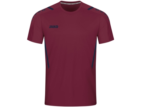 Camiseta de Hombre SALEWA Puez Melange Dryton Azul