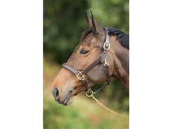 Cabestro de cuero forrado para caballos HFI Raised