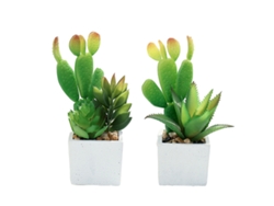 Bonsái de planta suculenta de Cactus simulado, adornos pequeños creativos en macetas cuadradas, 2 uds. NEVEANCE