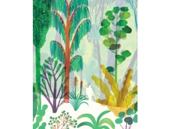 Libro Forest de Riccardo Bozzi