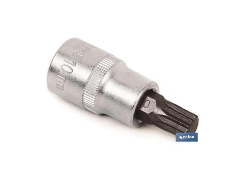 Llave de vaso 3/8 con punta t-10