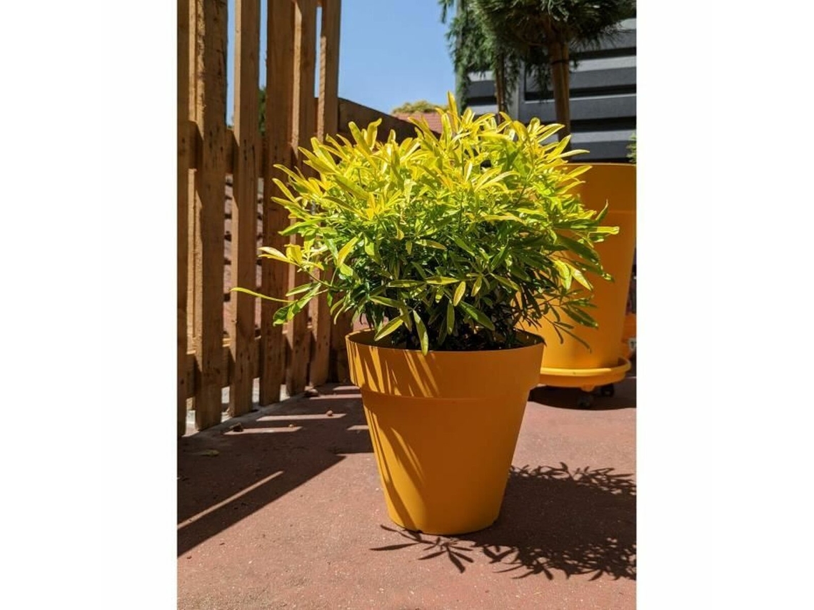 Maceta RIVIERA Amarillo Ø 60 cm