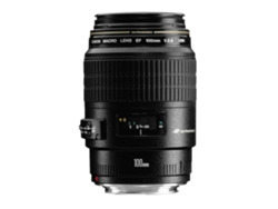 Objetivo CANON EF 100mm f/2.8 Macro USM (Negro - Apertura: f/2.8 - f/32)