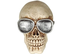 Figura DISFRAZZES Calavera Gafas Resina (11 cm - Halloween)