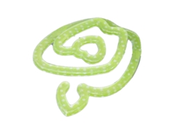 Clip de papel decorativo con forma de fruta verde para el hogar y la escuela.