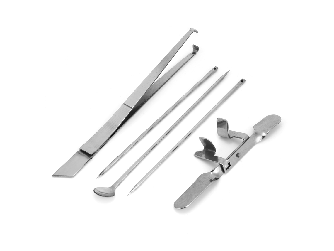 Kit De Herramientas De Acero Inoxidable Para La Esterilización De Gallos En Granjas Avícolas Y Uso Veterinario, 5 Piezas.