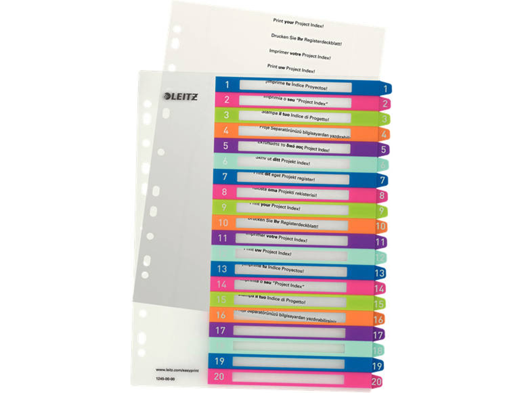 Separador ESSELTE (Multicolor - 30.5x24.5cm - Polipropileno - A4)