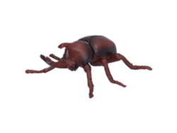 Modelo De Escarabajo Realista Juguete De Plástico Figura Educativa Para Niños Props De Insecto
