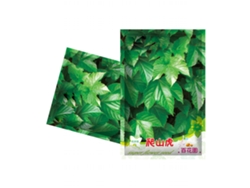 Conjunto de 40 semillas de enredadera para plantación decorativa