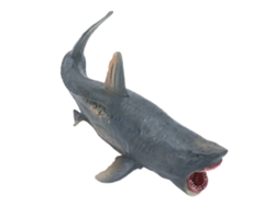 Figura De Animal Marino Realista Modelo De Plástico Pvc Simulado Juguete Educativo Decorativo
