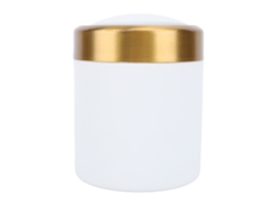 Papelera de mesa pequeña de acero inoxidable Baok con tapa, ideal para sala de estar, cocina y oficina. Color blanco.