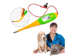 Termómetro electrónico para mascotas y perros