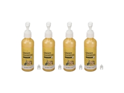 Champú de jengibre 2026 para el crecimiento del cabello, 100 ml, elimina la caspa, alivia el picor, limpieza profunda, 4 unidades.