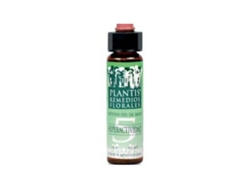Artesania Agrícola Solução Plantis No 5 10ml Hiperatividade