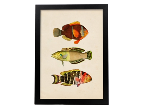 Póster NACNIC de Tres Peces Naranja, Amarillo, Verde y Rojo en , Fondo Papel Vintage.