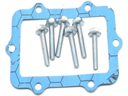 Kit De Válvulas Láminas Para Rendimiento Motocicleta Bicicleta