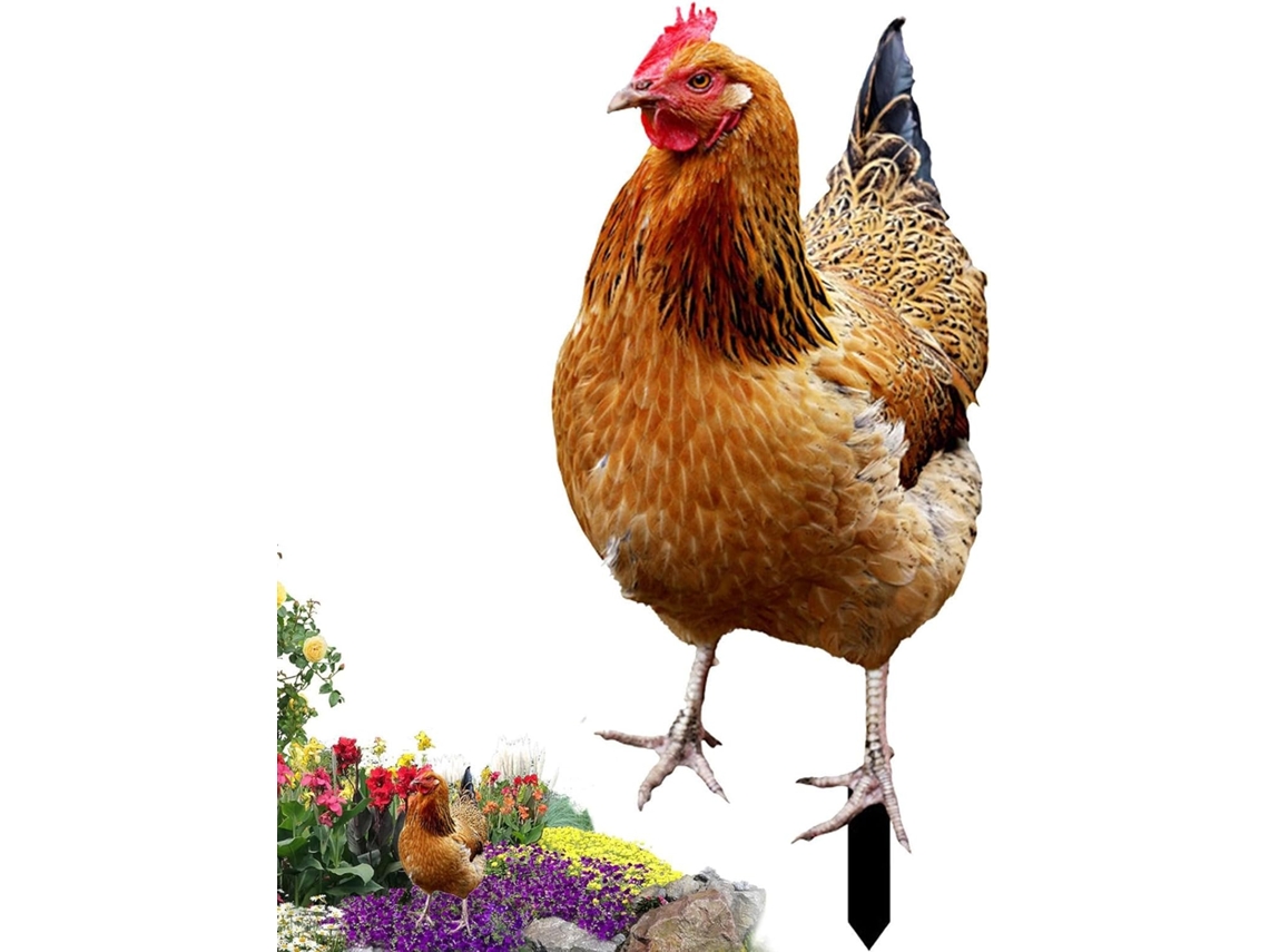 Decoración De Exterior Con Forma De Gallina: Gallina Acrílica 2d, Figura De Jardín, Figurita Decorativa Con Acabado A
