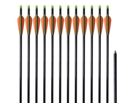 vidaXL Flechas de arco 12 uds compuesto estándar de fibra de vidrio