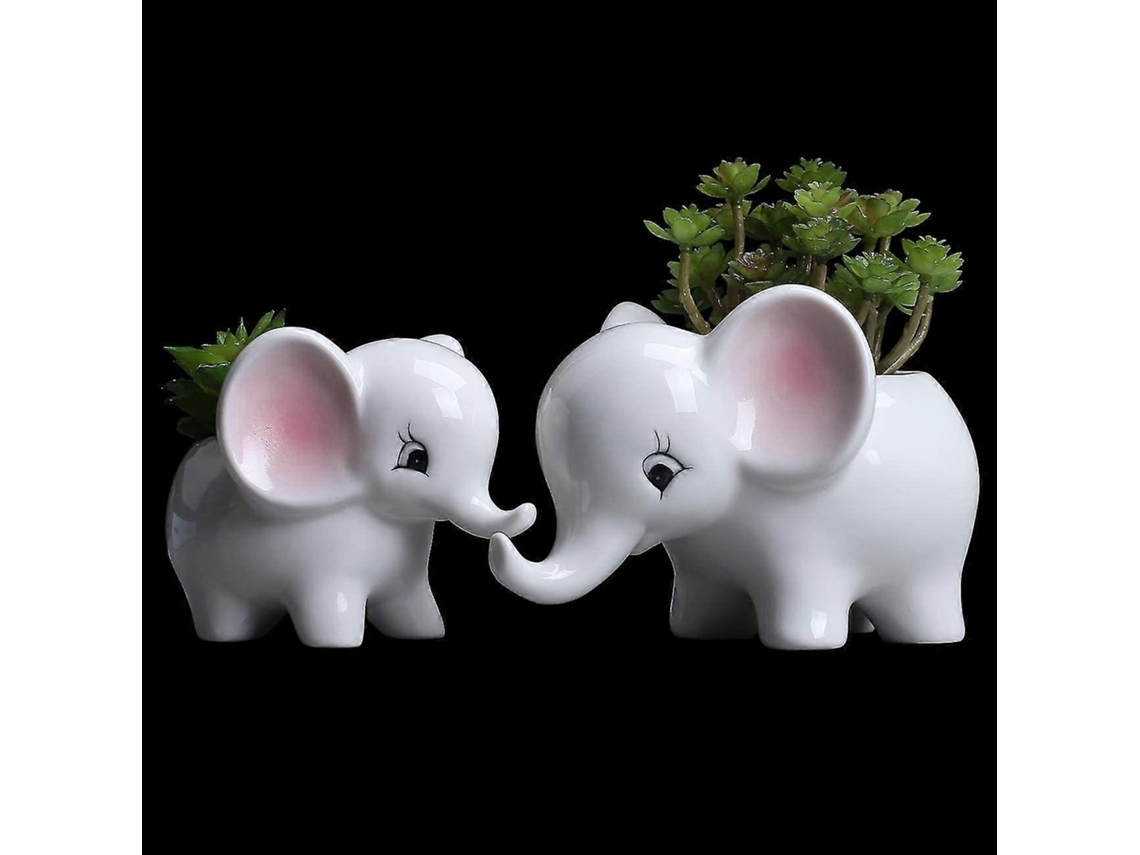 Recipiente Para Plantas Suculentas Maceta Decorativa Con Agujeros De Drenaje Tamaños Grande Y Pequeño