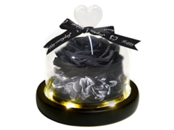 Rosa eterna flor con lámpara, cúpula de cristal, regalo de cumpleaños para amigos MEOIRUERY