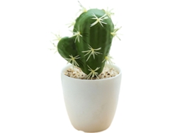 Pequeña planta tropical artificial simulación cactus bonsái simulación planta en maceta TRUYUETY