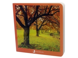 Libro Otoño de Nowordbooks (Español)