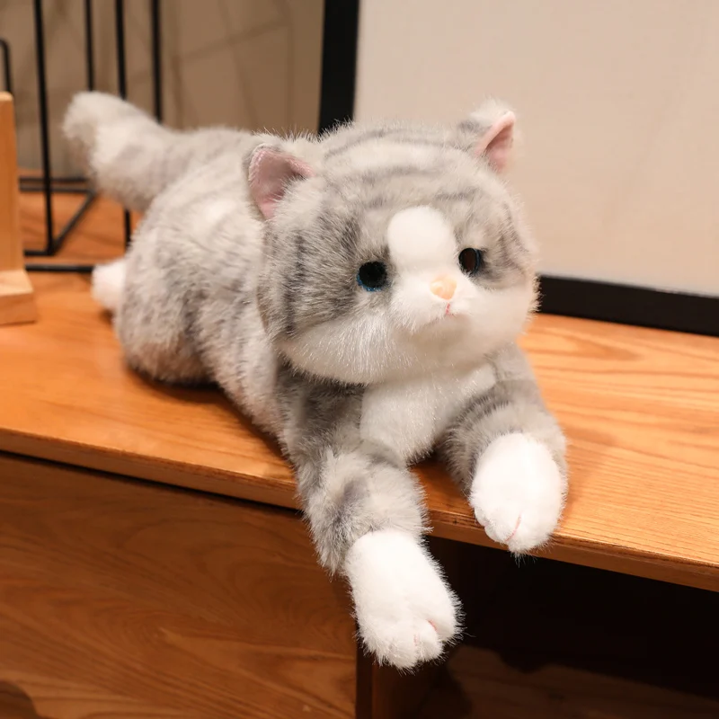 (gris, 50 Cm) Lindo Peluche Realista De Gato De Anime Con Diseño De Dibujos Animados