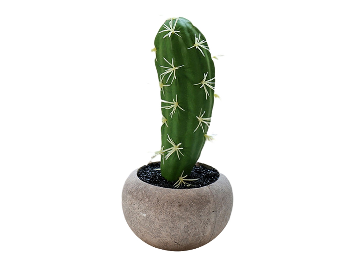 Planta de simulación en maceta, flor de simulación, Cactus, bonsái, decoración creativa, planta verde RNEMITERY