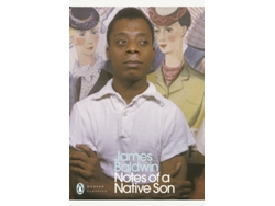 Libro Notes Of A Native Son de James Baldwin