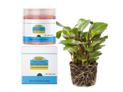 Polvo Enraizante Para Plantas - 100 G De Polvo Nutritivo De Acción Rápida Para Plantas Potenciador De Raíces Para El