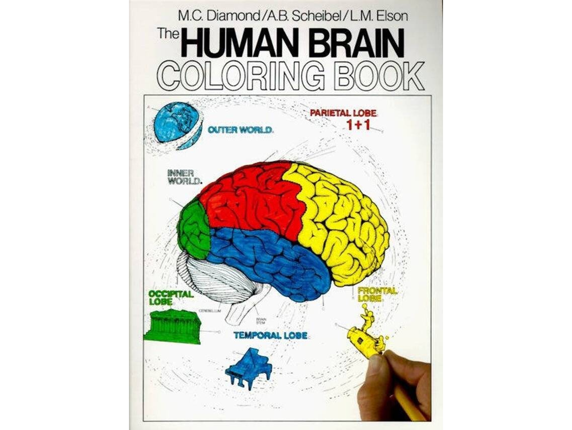 Libro Human Brain Coloring Book de Marian C Diamond e Arnold B Scheibel (Inglés)