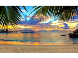 Fotomural OEDIM Atardecer Playa Tropical (Multicolor - 350x250cm - Vinilo)