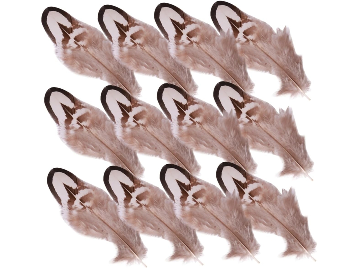 50 Plumas Para Decoración, Artículos Para Fiestas Y Bodas.