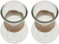 Jarrón De Cristal Transparente De 2 Piezas Para Plantas Hidropónicas, Fácil De Limpiar.