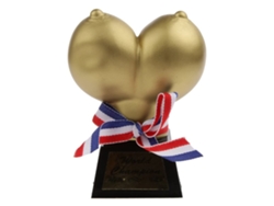 Divertido Juego De Trofeos De Campeón, Regalo Para Despedida De Soltera.