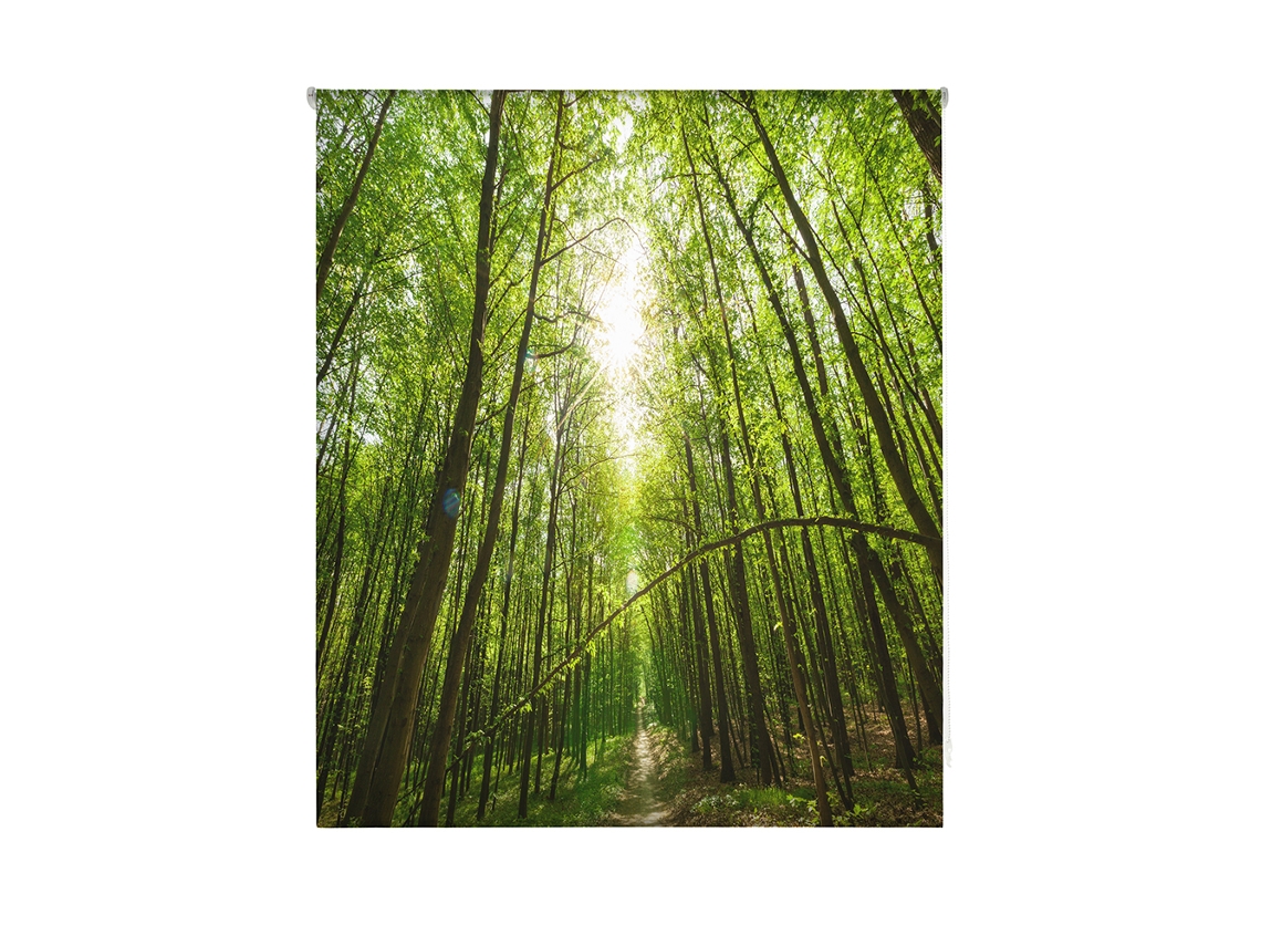 Estor Enrollable HAPPYSTOR Estampado Digital Paisajes HSCP8493 165x250 cm