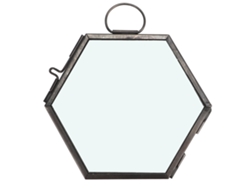 Marco de vidrio hexagonal para flores secas y especímenes