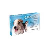 Antiparasitarios para Perros
