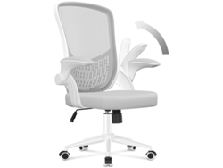 Silla de Oficina Ergonómica RACINGREAT con Brazos Abatibles 90 - Soporte Lumbar de Diseño Exclusivo - Tapicería de Malla Transpirable - Gris