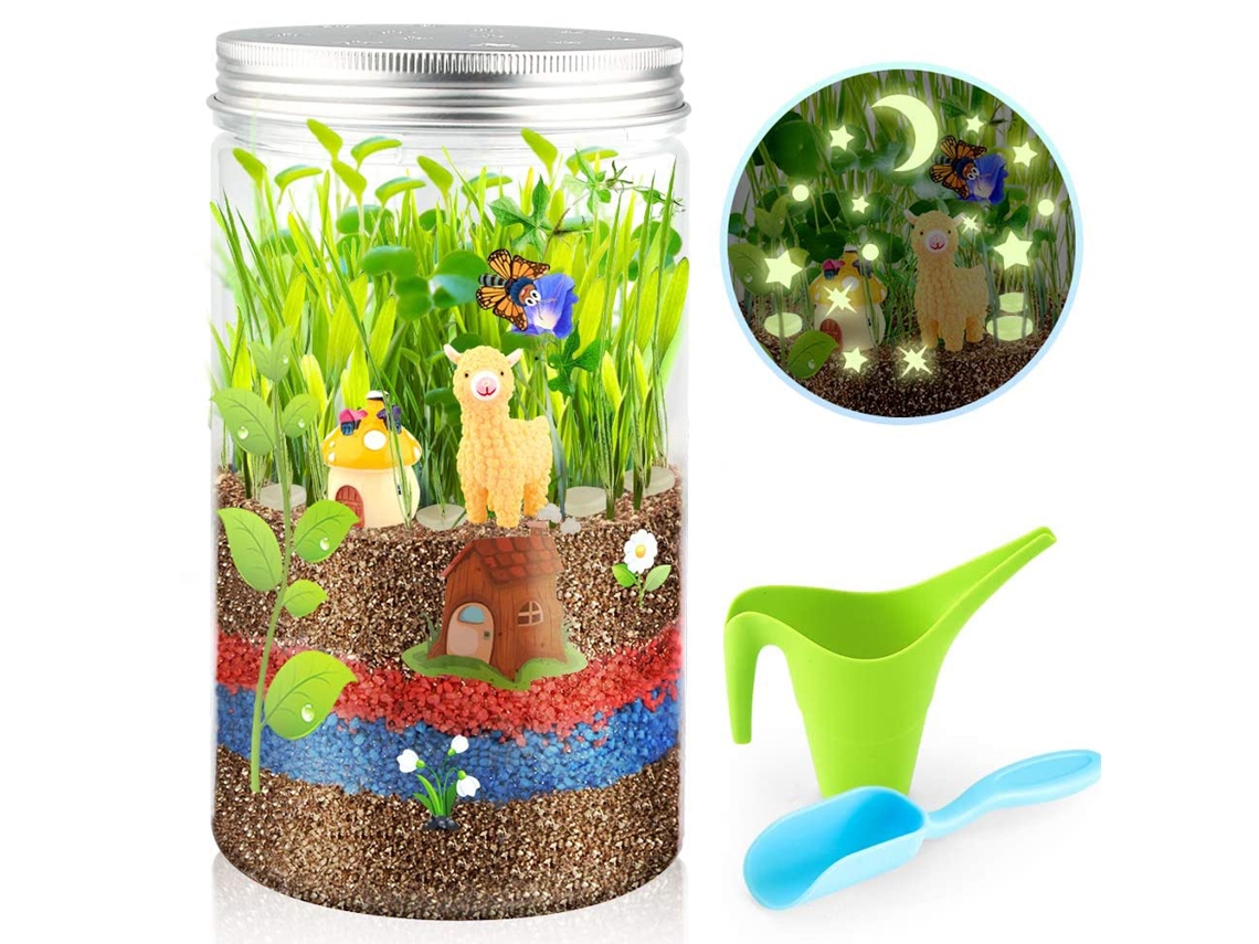 Ats-kit De Crecimiento De Terrario Para Niños Juguetes Educatsivos Diy Para Niños Y Niñas