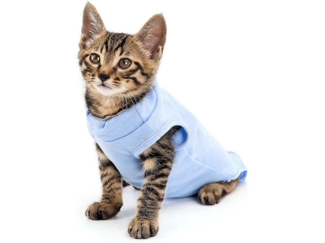 Fasst-traje De Recuperación Quirúrgica Para Gatos, Malla Postoperatoria Transpirable Con Cierre Velcro Para Cuidado De Heridas