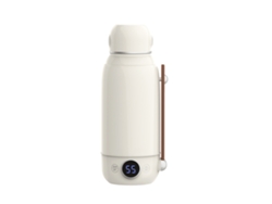 Hervidor Eléctrico Eifson Portátil 800ml 550w Aislado Acero Inox