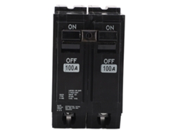 Disyuntor Miniatura Bipolar De 100 A Con Capacidad De Ruptura De 10 Ka, Carcasa De Fibra De Vidrio, Enchufable.