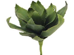 Planta Artificial EUROPALMS Agave (Verde - 35 cm)