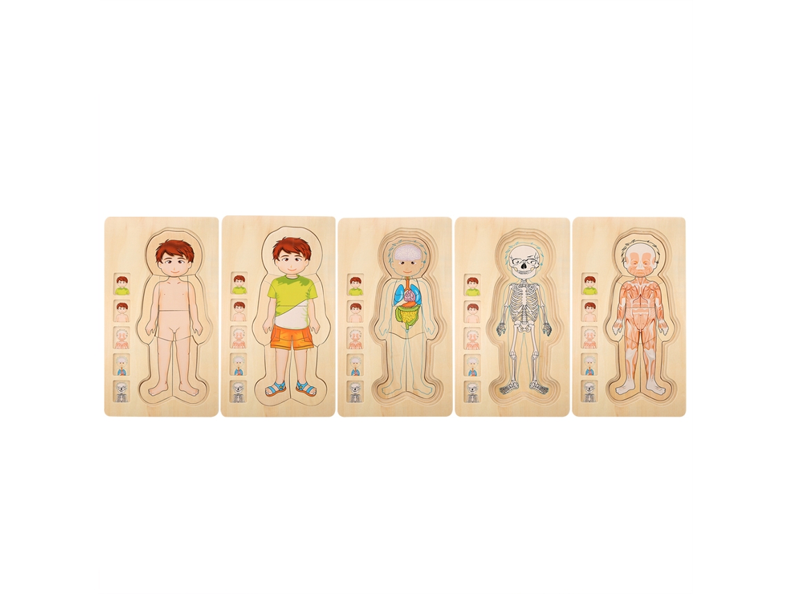 Ats-juguete De Ladrillos De Estructura Corporal Humana De Madera Multicapa Juguete Educatsivo Inteligente Para Niños