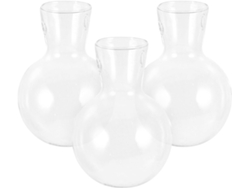Juego de 3 macetas colgantes de vidrio transparente GOKOCO para plantas hidropónicas