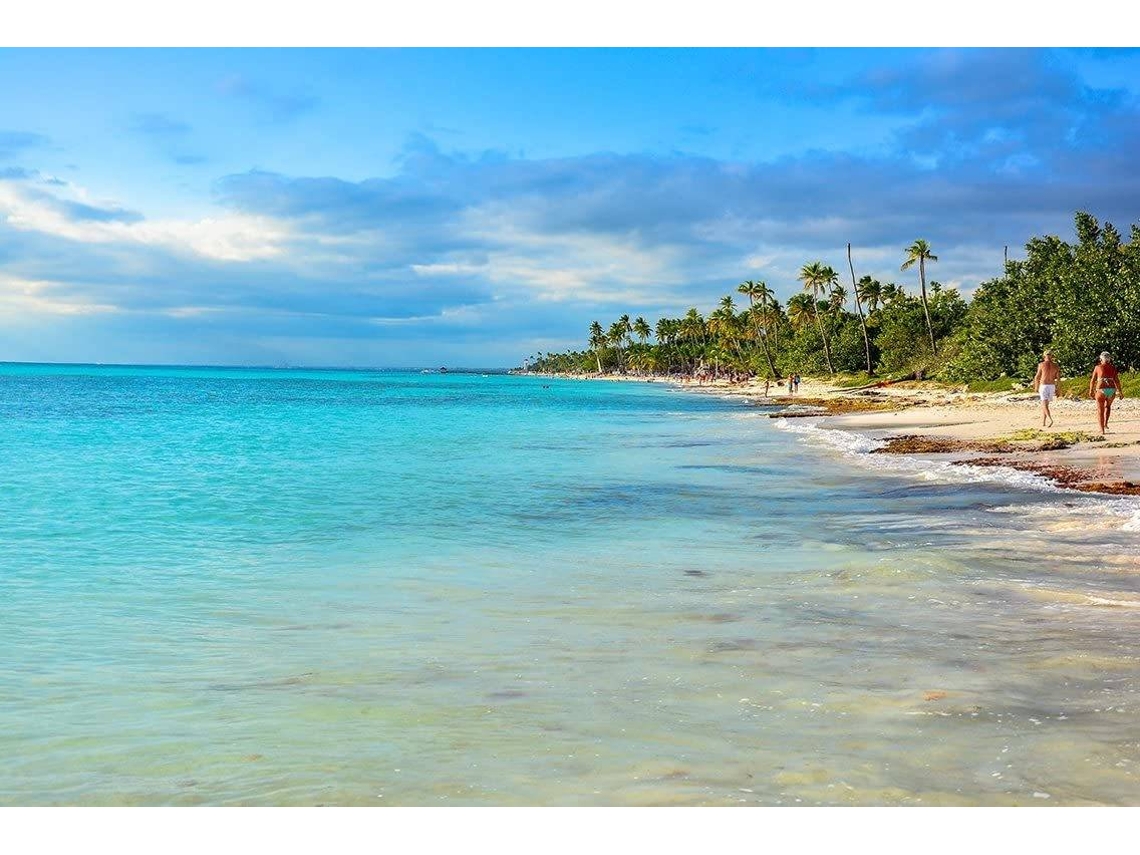 Fotomural OEDIM Playa y Palmeras (Multicolor - 350x250cm - Vinilo)