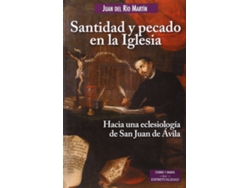 Libro Santidad Y Pecado En La Iglesia de Juan Del Río Martin (Español)